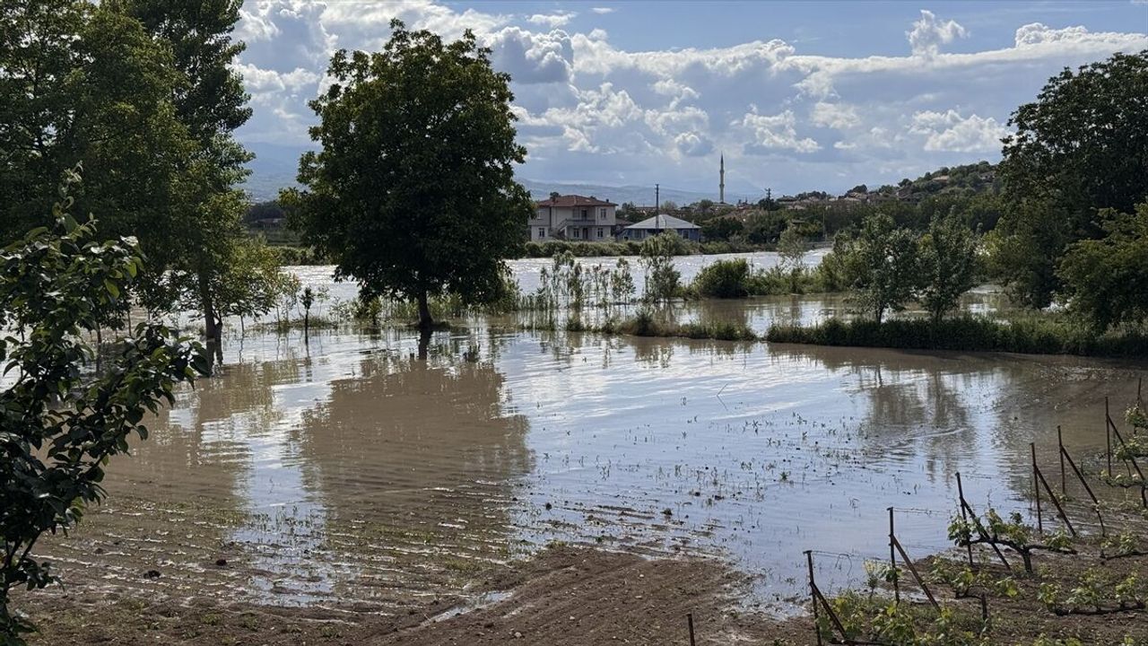 Taşkın nedeniyle tarım alanlarını su bastı