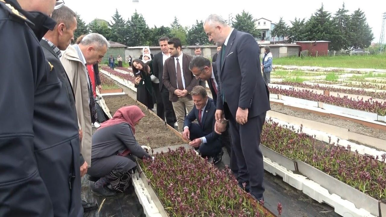 Doğadan tarlaya salep yolculuğu