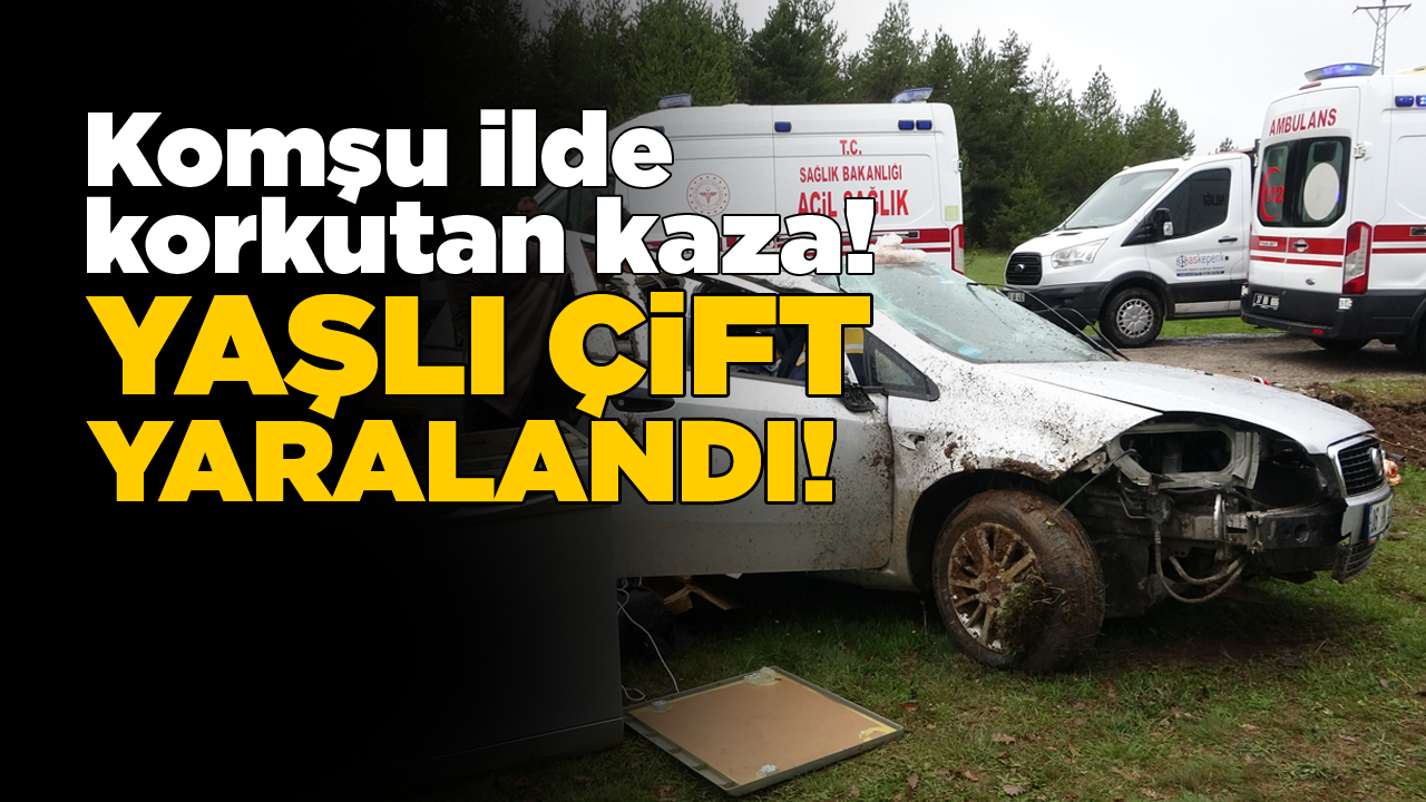 Takla atan otomobildeki yaşlı çift yaralandı