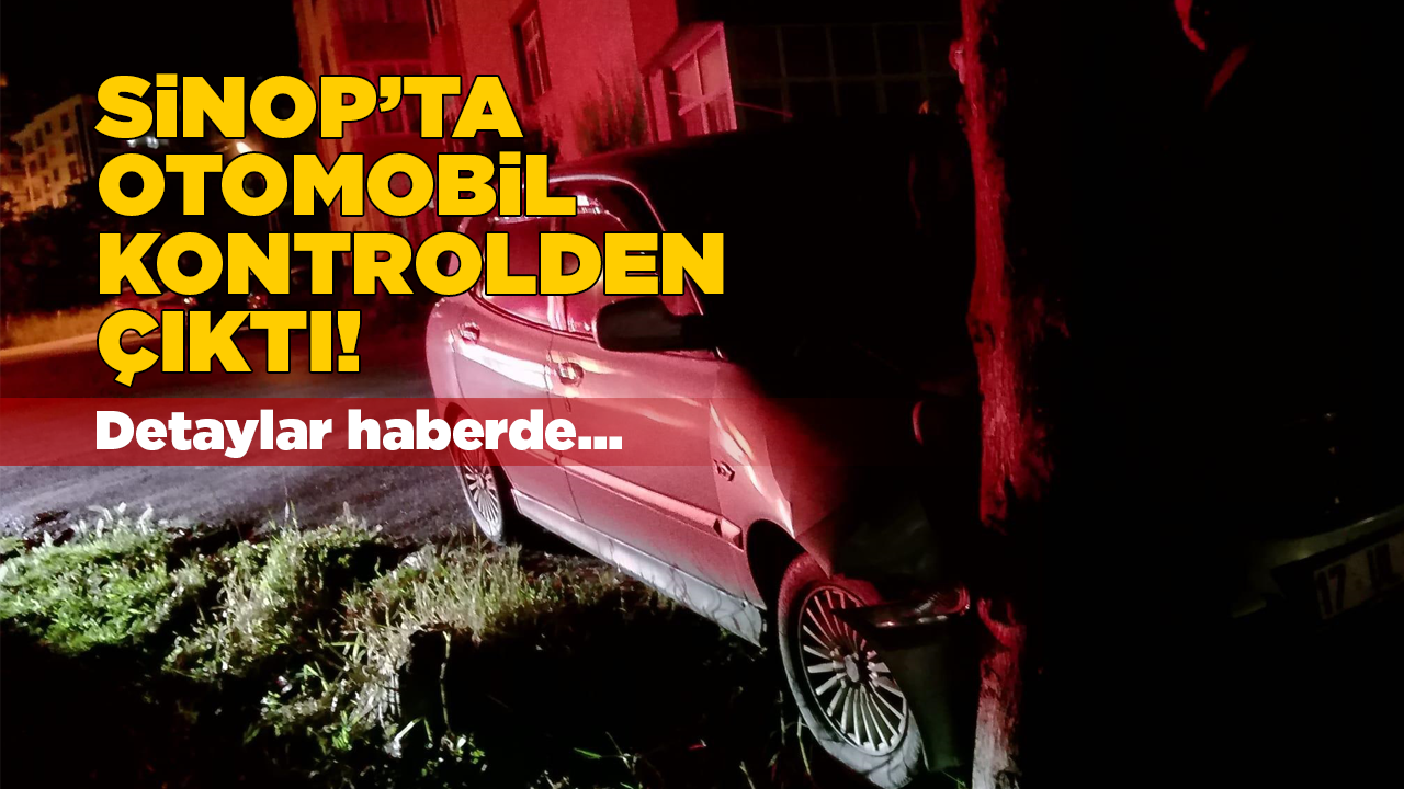 Kontrolden çıktı, ağaca çarparak durabildi!