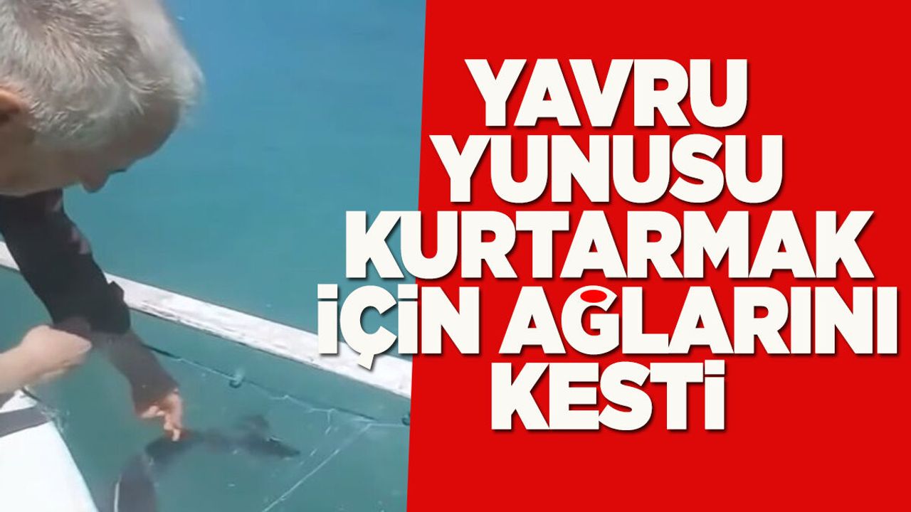 Sinoplu balıkçıdan örnek davranış