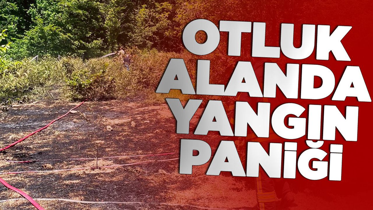 Otluk alanda örtü yangını!