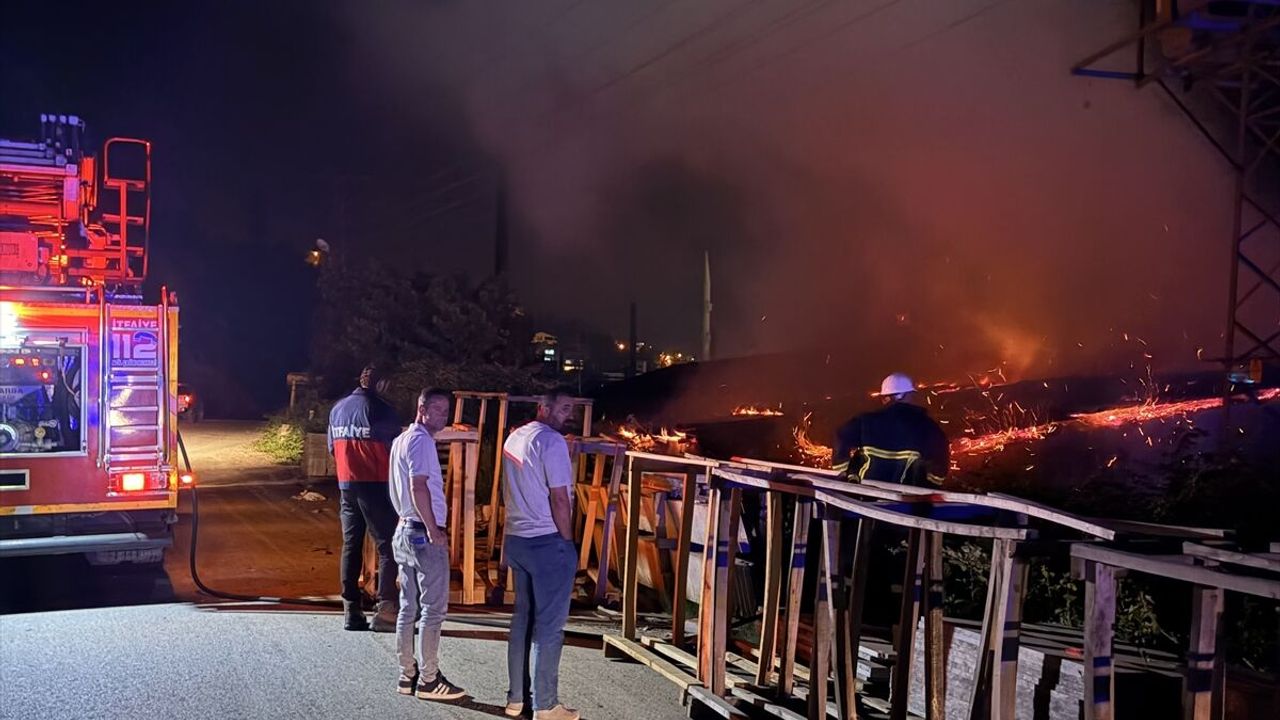 Sinop'ta fabrikanın talaş deposunda yangın çıktı