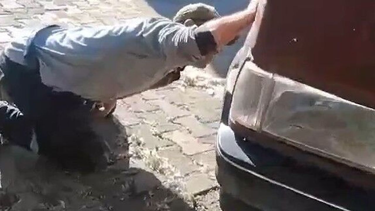 Aracın motoruna giren yılanı ekipler yakaladı