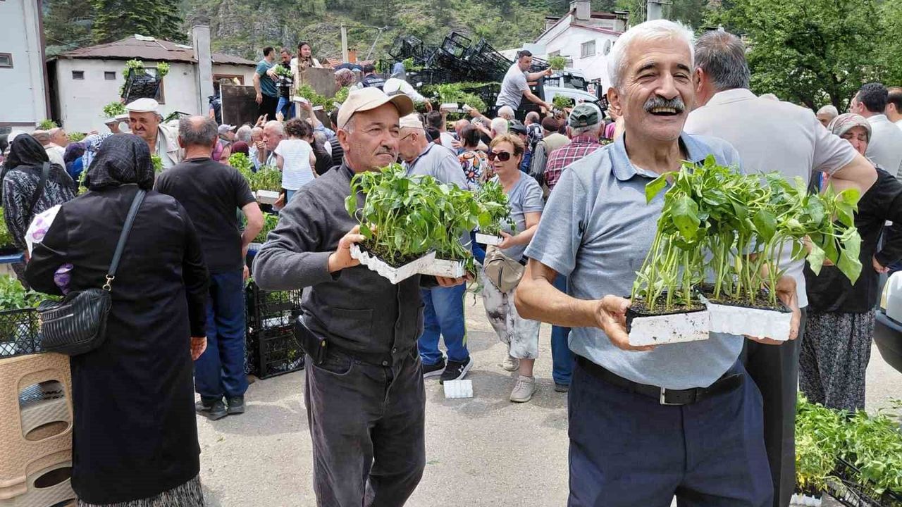 Bolu'da ücretsiz fide dağıtımı