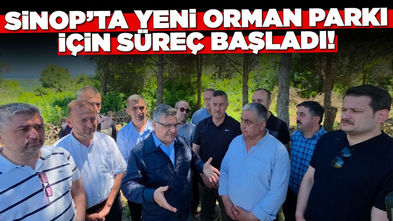 Ücretsiz Olacak: Sinop'ta Yeni Orman Parkı İçin Süreç Başlad