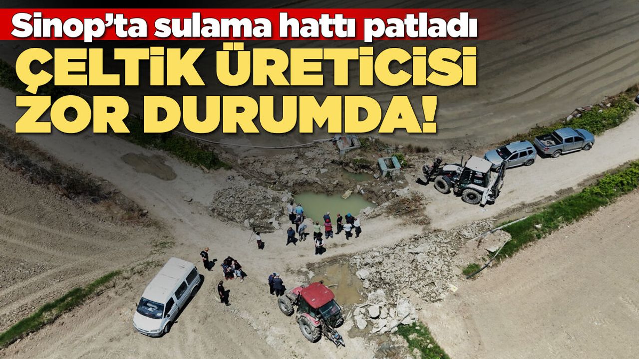 Sinop'ta çeltik üreticileri zor durumda!
