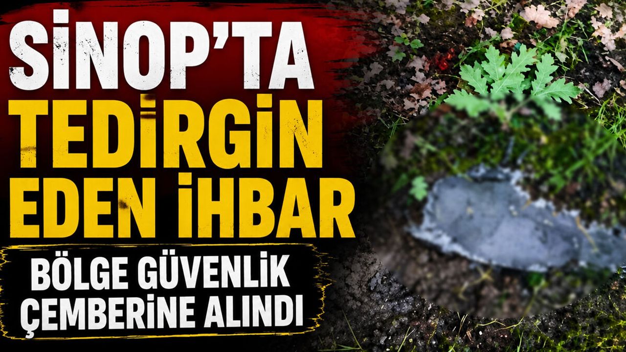 Sinop'ta ormanlık alana belirsiz cisim düştü