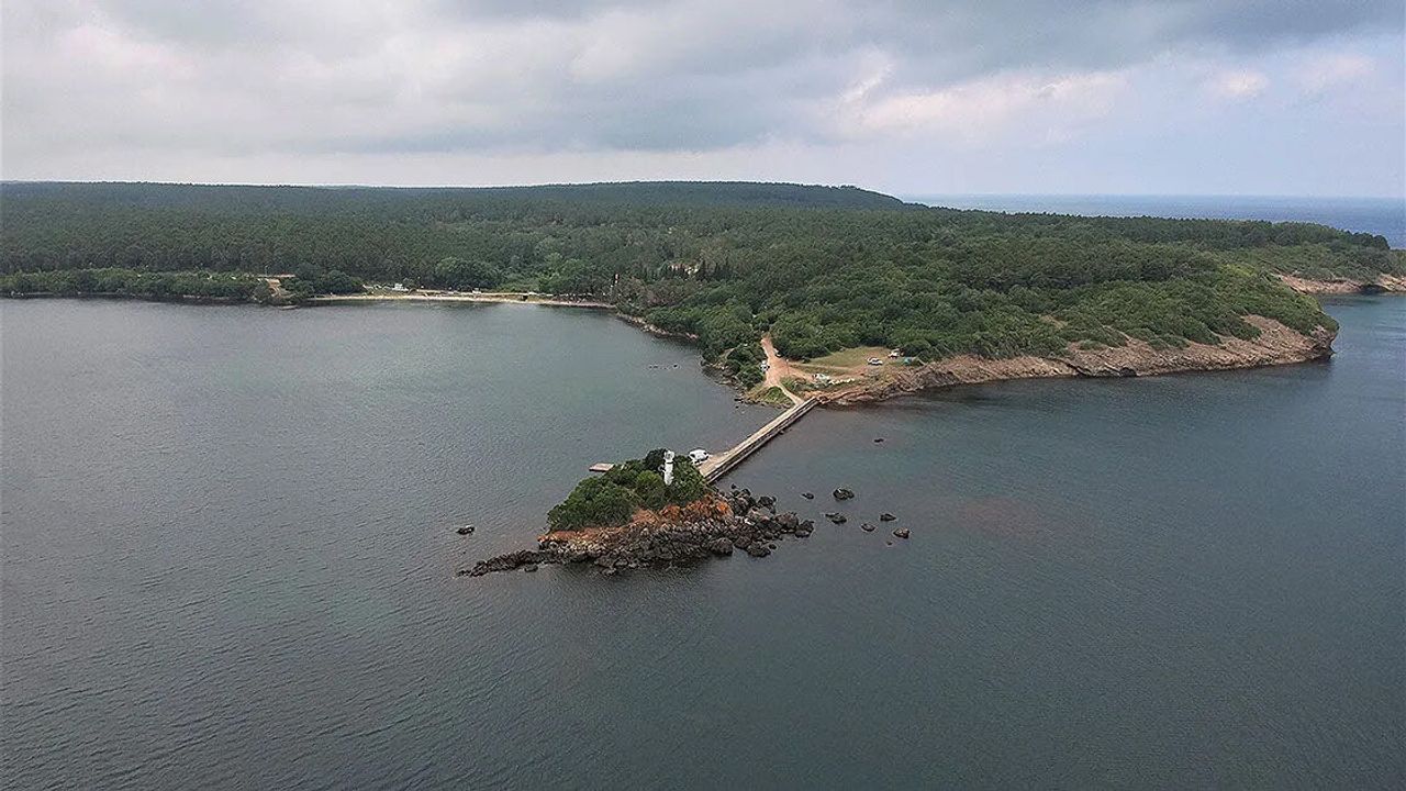 Sinop'ta olası orman yangınları için tüm önlemler alındı