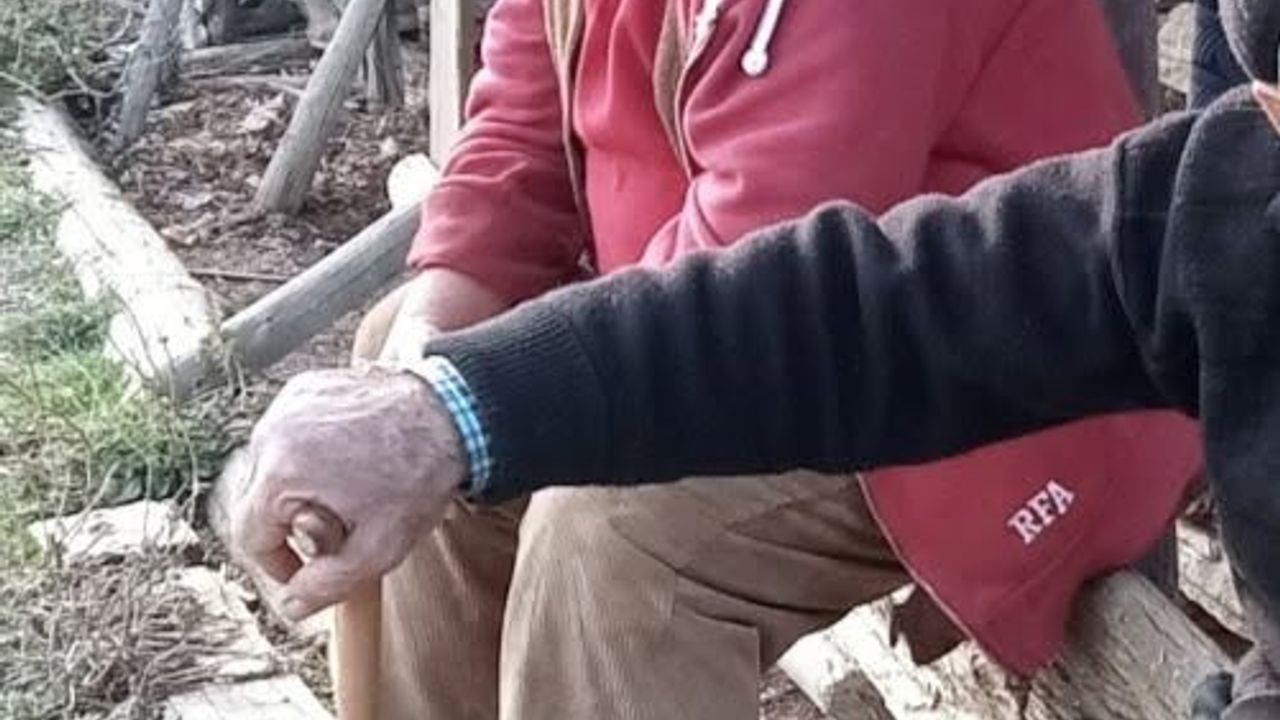 Komşu ilden acı haber: Arı sokan kişi öldü!