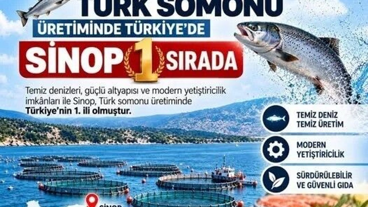 Sinop, Türk Somonu üretiminde zirvede!