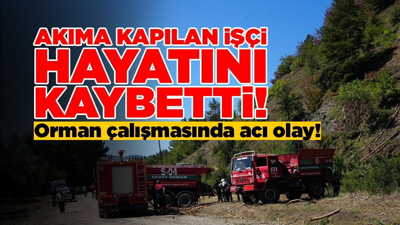 Elektrik akımına kapılan orman işçisi öldü