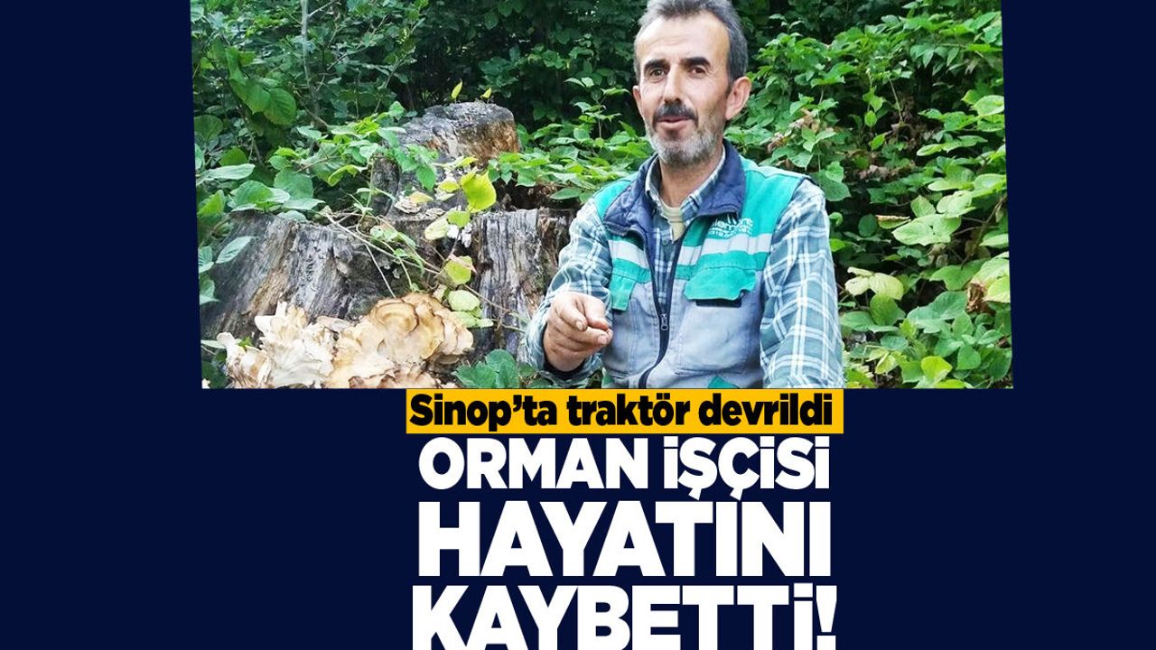 Sinop'ta traktör devrildi, orman işçisi öldü