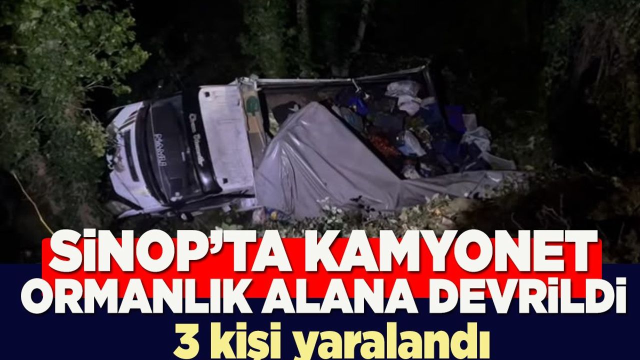 Sinop’ta kamyonet ormanlık alana devrildi: 3 yaralı