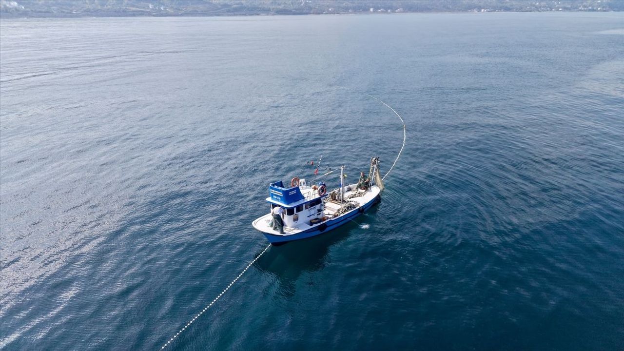 Sinop'ta balıkçıların palamut avı mesaisi