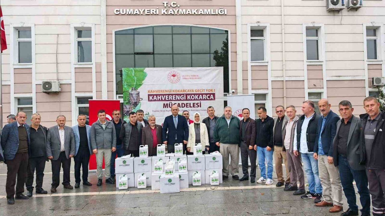 14 bin samuray arısı Düzce'de doğaya salındı