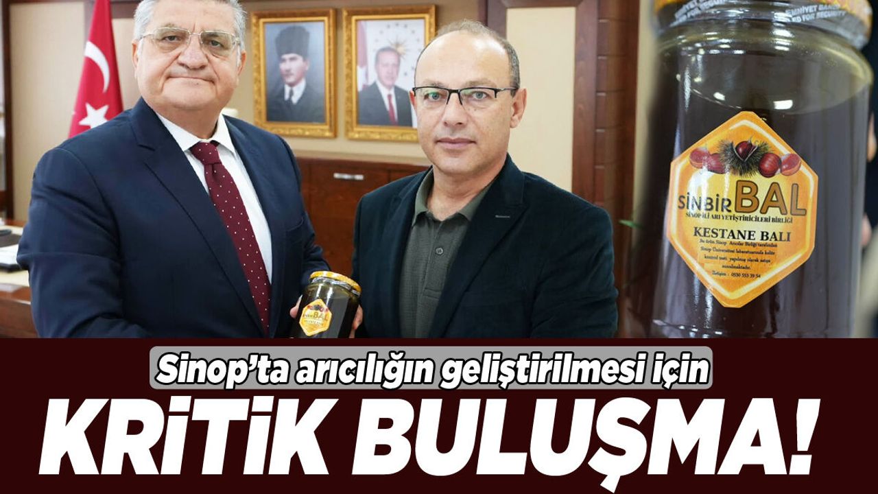 Sinop’ta arıcılığın geliştirilmesi için kritik görüşme