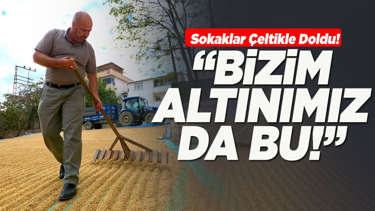 "Bizim Altınımız Bu!” Durağan’da Sokaklar Çeltik Tarlasına Döndü!