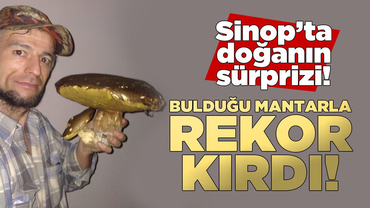 Sinoplu vatandaşın bulduğu dev mantar şaşırttı