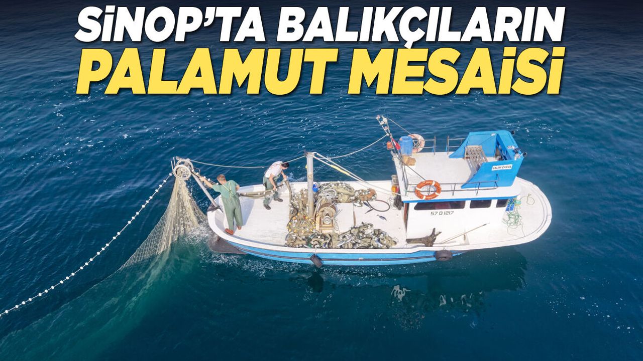 Sinop'ta balıkçıların palamut avı mesaisi