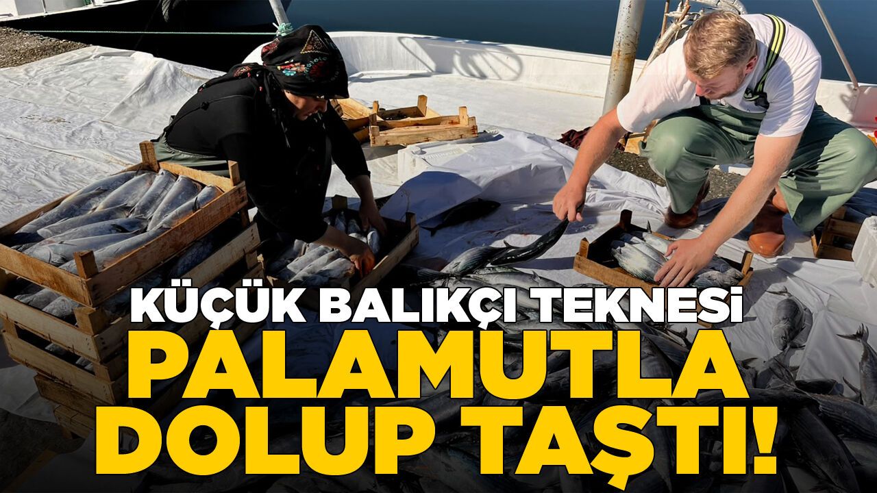 Küçük balıkçı teknesi palamutla dolup taştı