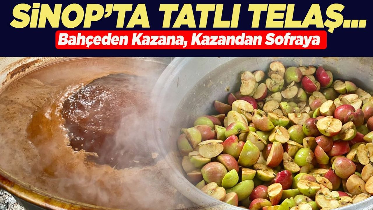 Sinop’un köylerinde tatlı telaş!