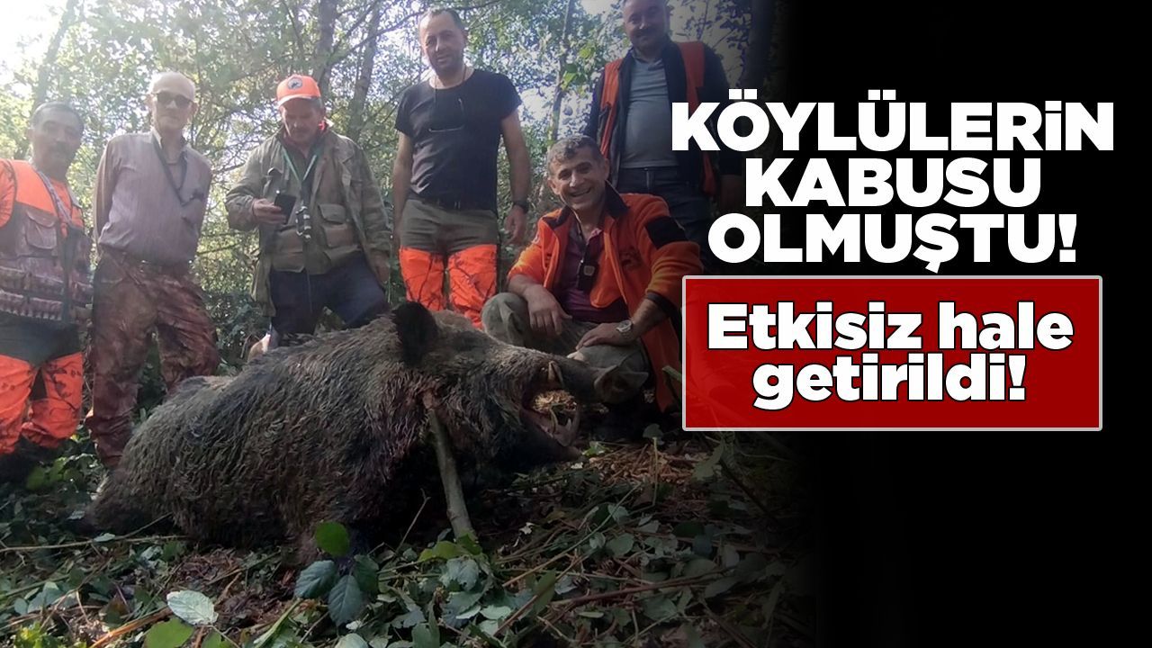 Sinop’ta ürünlere zarar veren domuz etkisiz hale getirildi