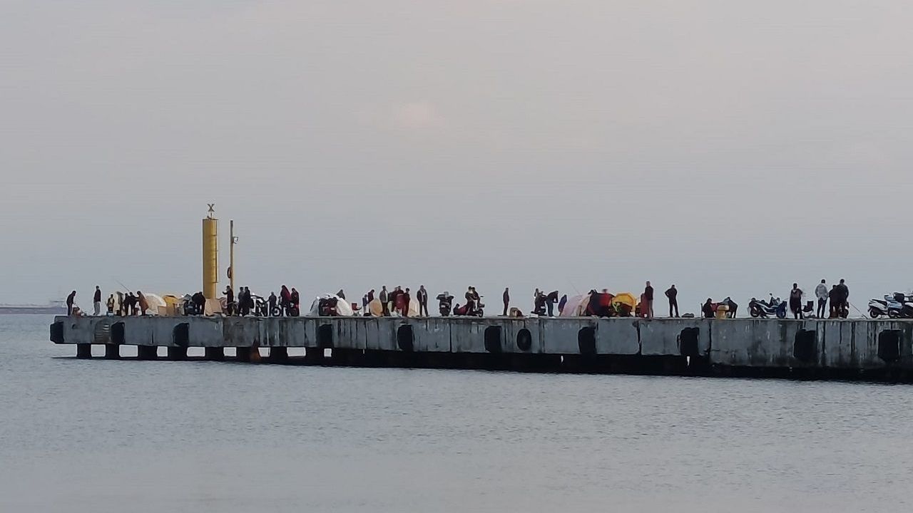 Sinop İskelesi amatör balıkçıların akınına uğradı