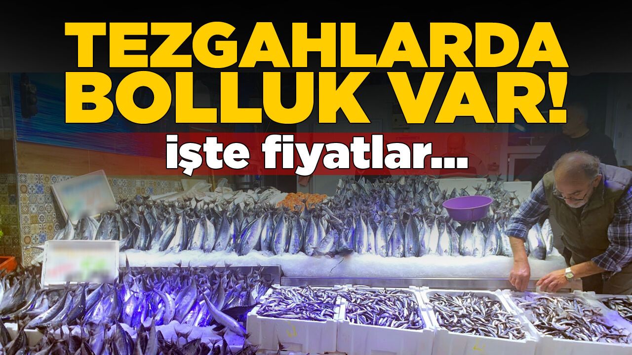 Sinop’ta balıkçılık sezonu bereketli geçiyor