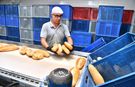 İzmir’de ekmek 5 TL’ye düştü