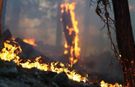 Gerze’nin Sarnıç köyünde orman yangını