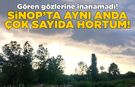 Sinop açıklarında çok sayıda hortum meydana geldi