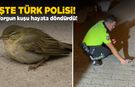 Yorgun kuşa Sinop polisinden yardım eli
