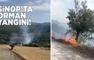 Ormanlık alanda yangın paniği