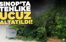 Sinop'ta ağaç dalı devrildi