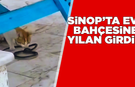 Sinop’ta evin bahçesine giren yılan korkuttu
