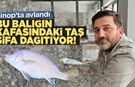 Sinop'ta Yakalandı. Eşkinanın Sırrı Kafasındaki Taşta!