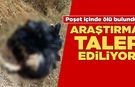 Sinop'ta şoke eden olaya araştırma isteniyor!