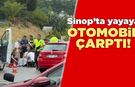 Sinop’ta otomobilin çarptığı kadın yaralandı
