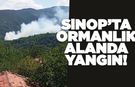 Sinop’ta ormanlık alanda yangın çıktı