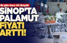 Sinop’ta palamut fiyatları fırtınayla yükseldi