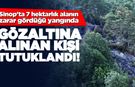 Sinop'ta orman yangınına neden olan kişi tutuklandı