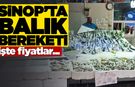 Sinop’taki tezgahlarda balık bolluğu! İşte fiyatlar…