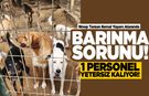 Sinop Tarzan Kemal Yaşam Alanında barınma sorunu