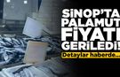 Sinop’ta vatandaş palamut fiyatından memnun!