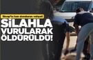 Sokak köpeği silahla vurularak öldürüldü