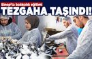 Sinop'ta balıkçılık eğitimi tezgâha taşındı
