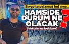 Sinop’ta palamut bol, peki hamsi?