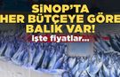 Sinop’ta her bütçeye göre balık var