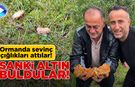 Sinop’ta mantar sevinci kamerada